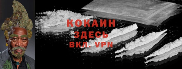 сатива Алексин