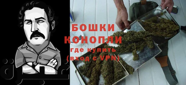 сатива Алексин