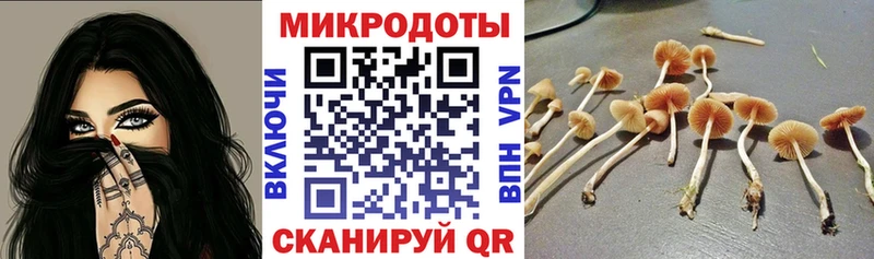 наркота  blacksprut ONION  Галлюциногенные грибы мицелий  Пустошка 